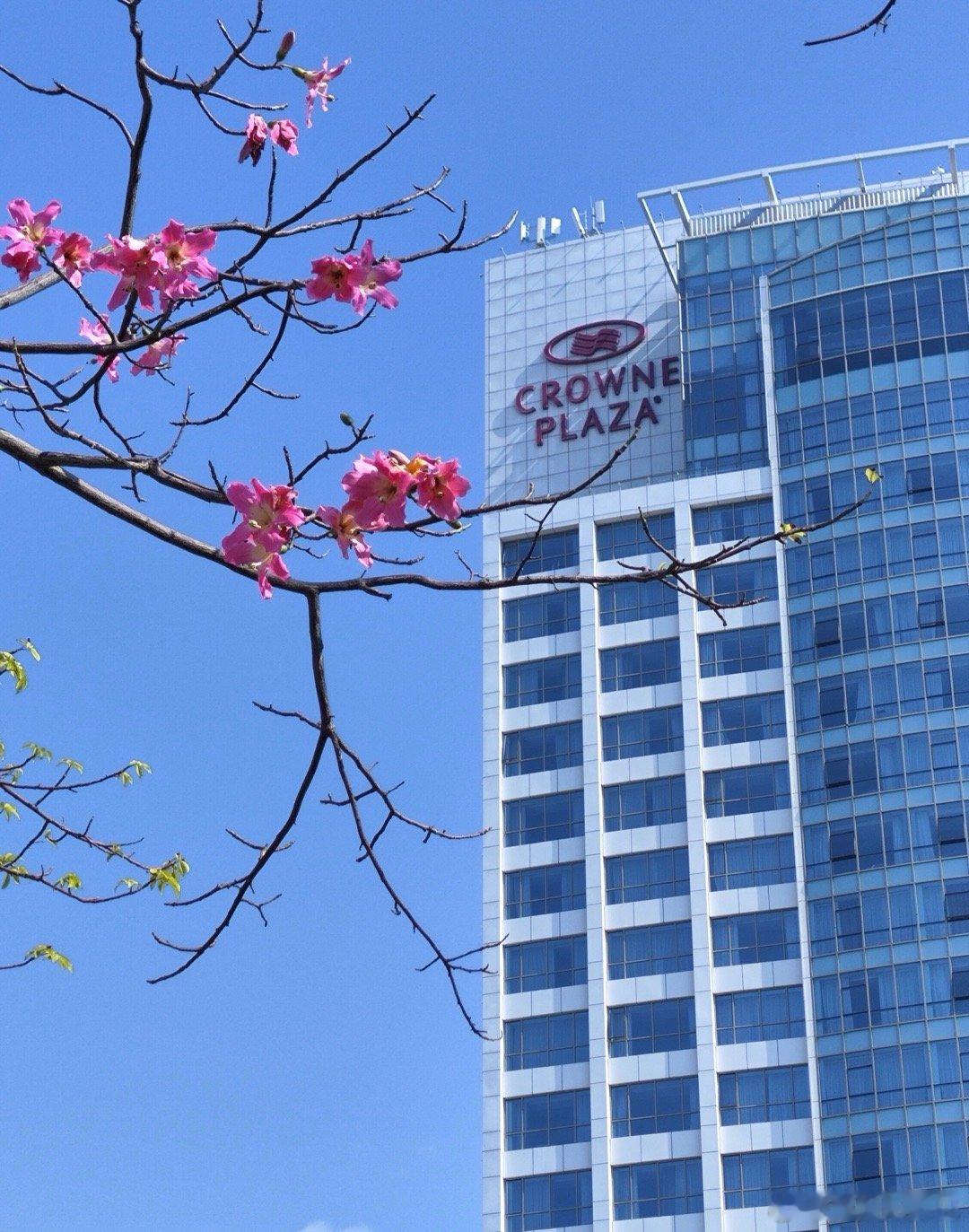 【我的三步牛妖战法，有点意思】我的三步牛妖战法，有点意思：主要将5千只票缩小在1