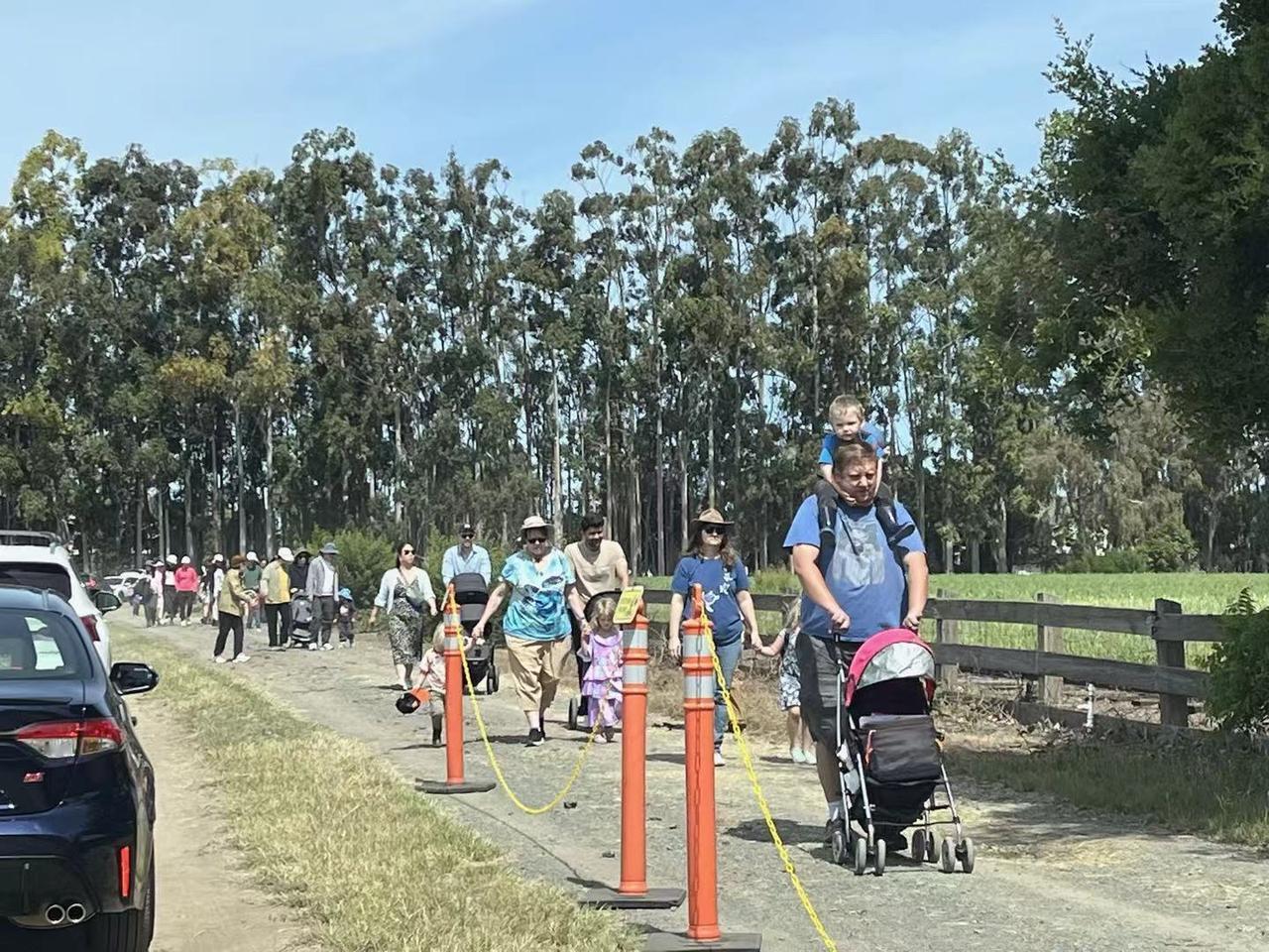 美国推娃的队伍，好像比中国更威武，为什么？
中国推娃，祖辈是主角；美国推娃，父辈