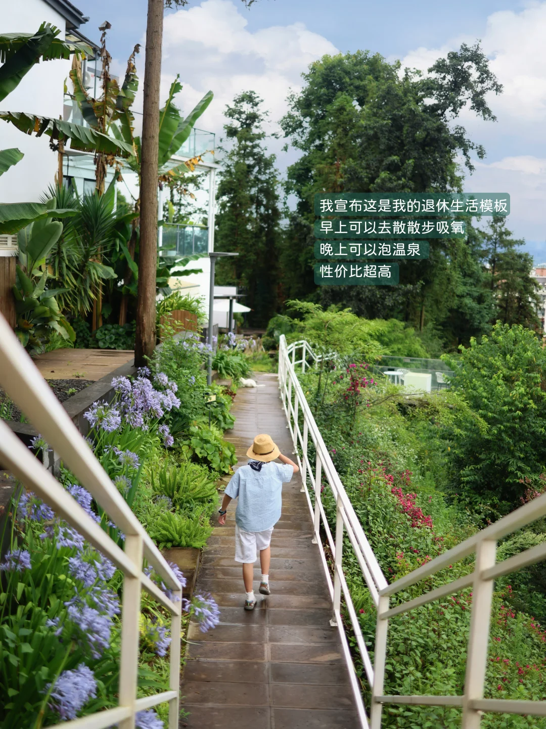 我宣布这是我的退休生活模板