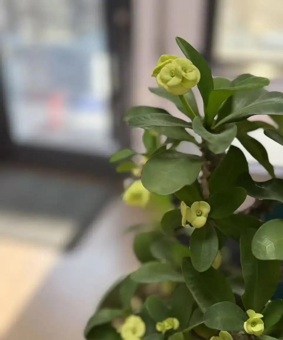 搜了一圈发现，正经能遮百丑这词最早是网友吐槽某领导在群里天天发鸡汤，出事一查全是