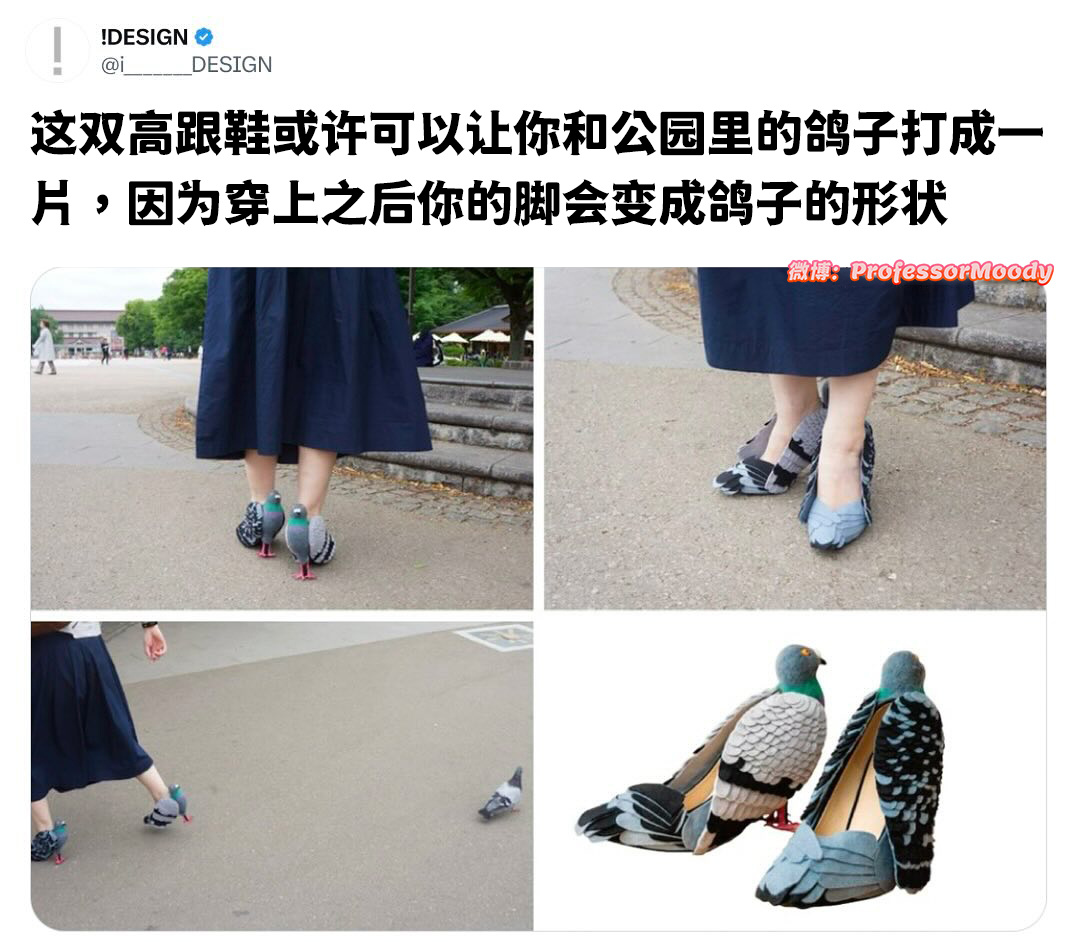 高鸽鞋 