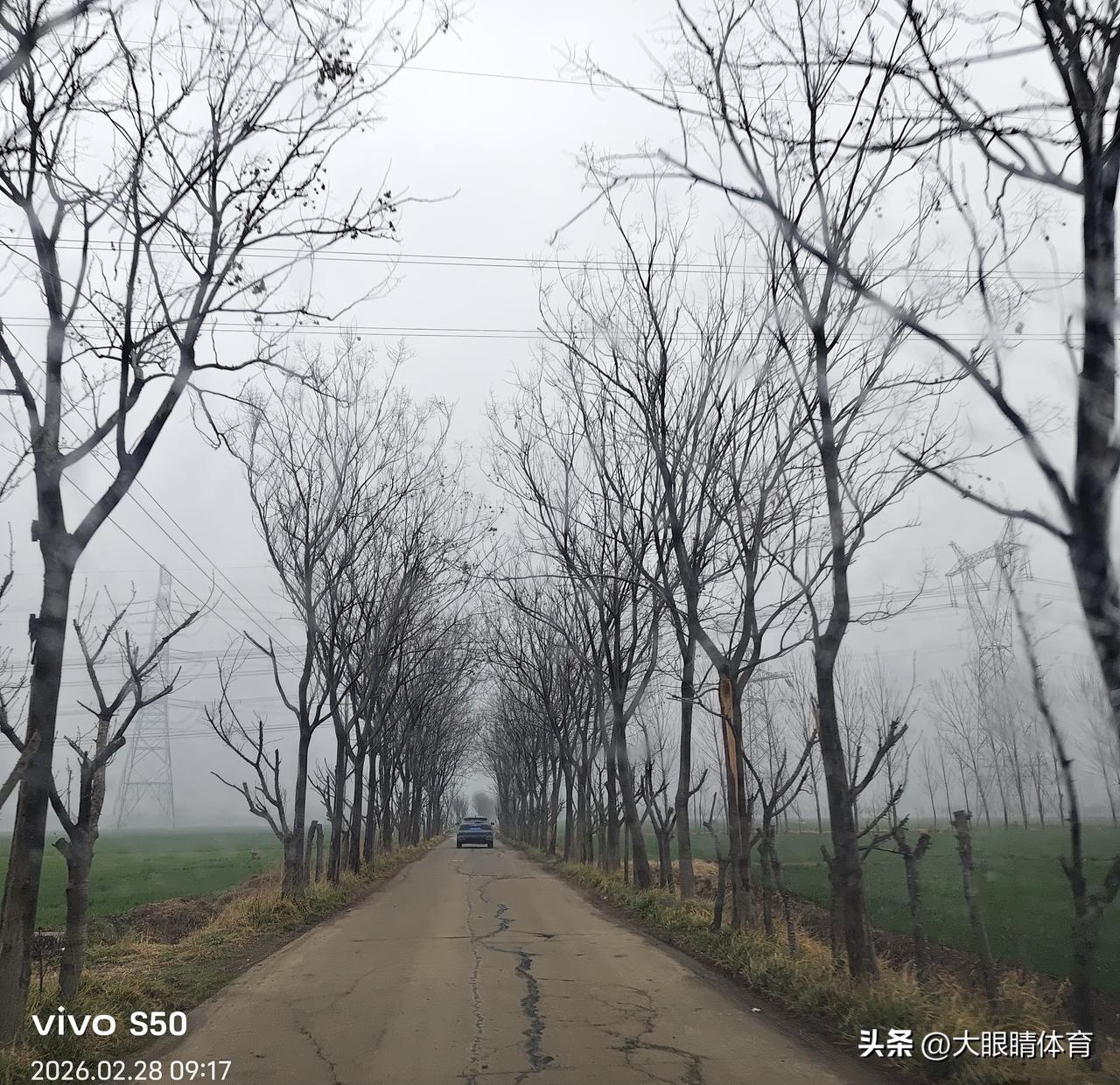 大年初八，零下3度的河南街头，一个菜摊在寒风中瑟瑟发抖。
摊主裹着军大衣不停跺脚