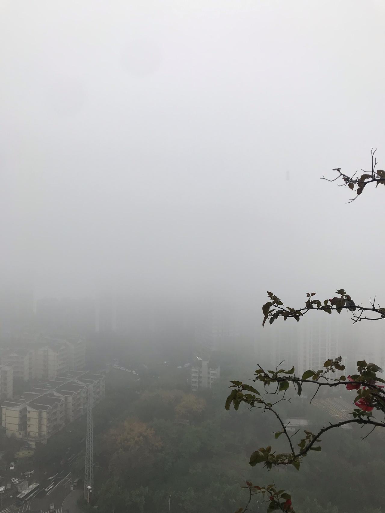今天的重庆小雨淅淅，大雾弥漫，天空都隐没在朦胧里。随手一拍，那画面就带着一种独特