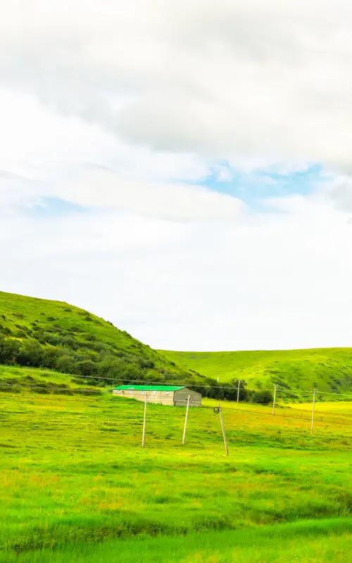 分享一组草原风景照，那一片绿油油的草地，简直美到窒息！
在草原上，蓝天白云触手可