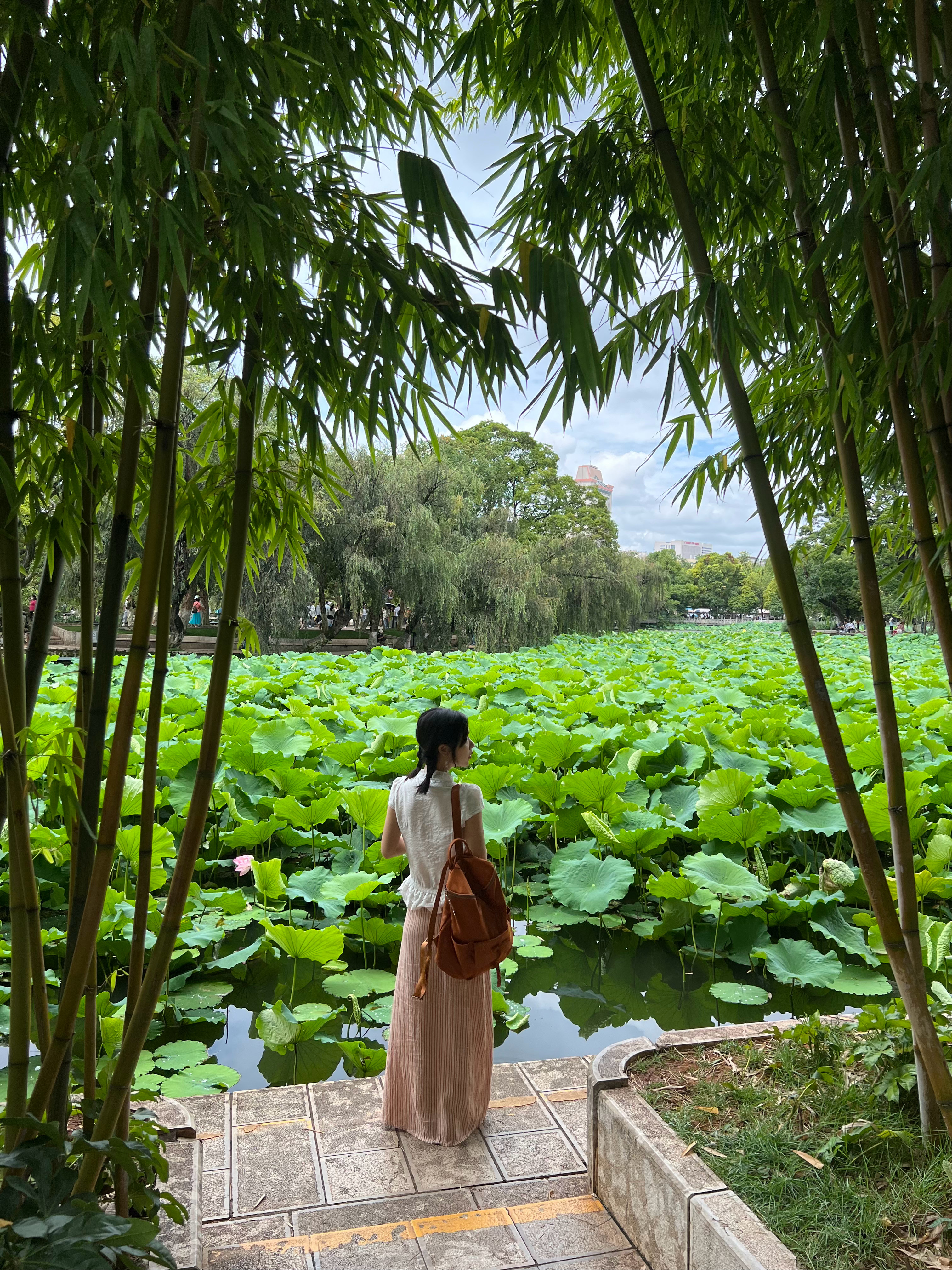 一年半以后，我们又来到翠湖公园。时间真的好神奇啊。