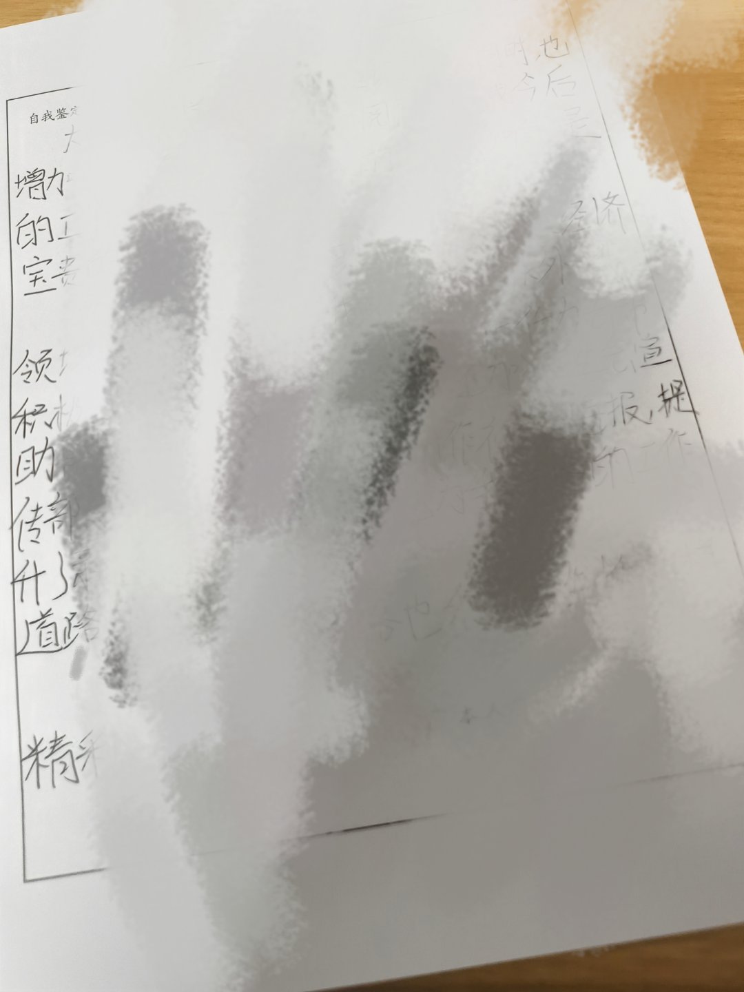 我就这样雷霆大字糊弄毕业登记表 
