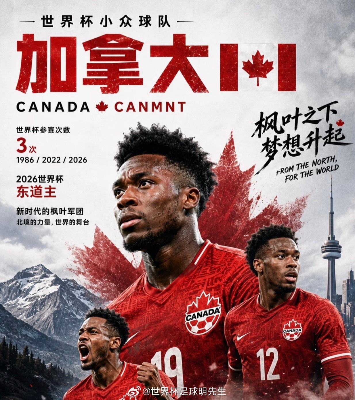 世界杯 南非vs加拿大！南非铁盾迎战加拿大锋矛，谁将取得队史首场淘汰赛胜利！世界