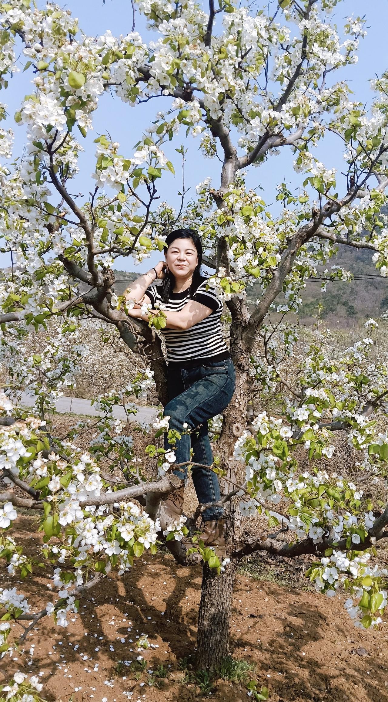 真正的价值闭环，是个体光芒与家庭温暖的共生共荣。就像梧桐根深叶茂，不仅引来凤凰栖