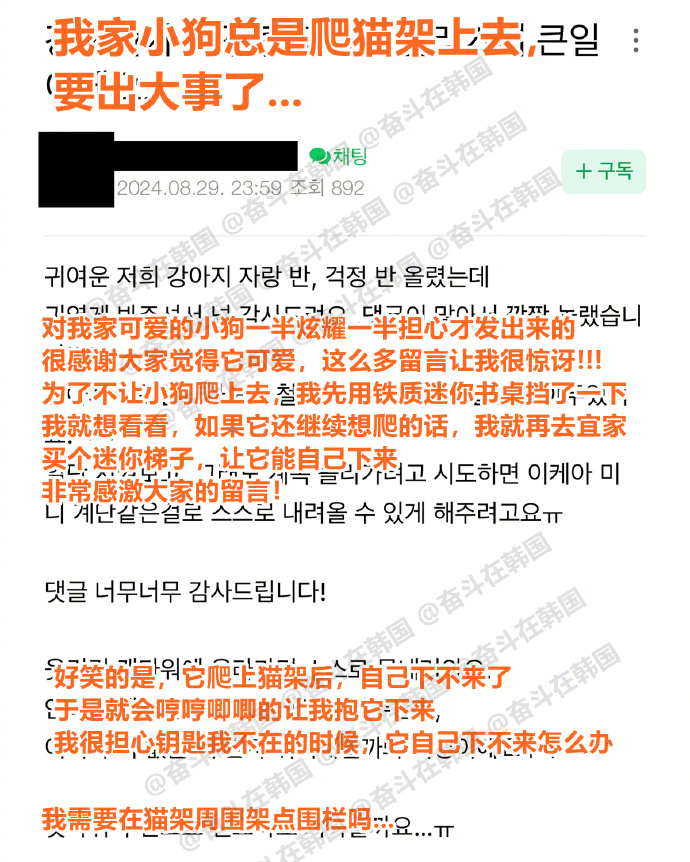 小狗总睡爬猫架上去 海外新鲜事 ​​​热点现场 ​​​