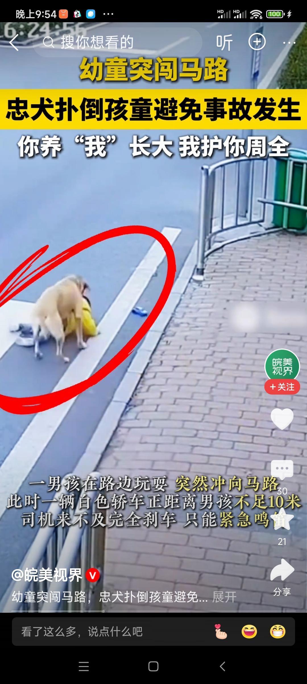 《犬护童吟》
稚子突奔马路前，车鸣十米险相牵。
黑豆飞扑衔衣救，忠犬丹心胜铁肩。