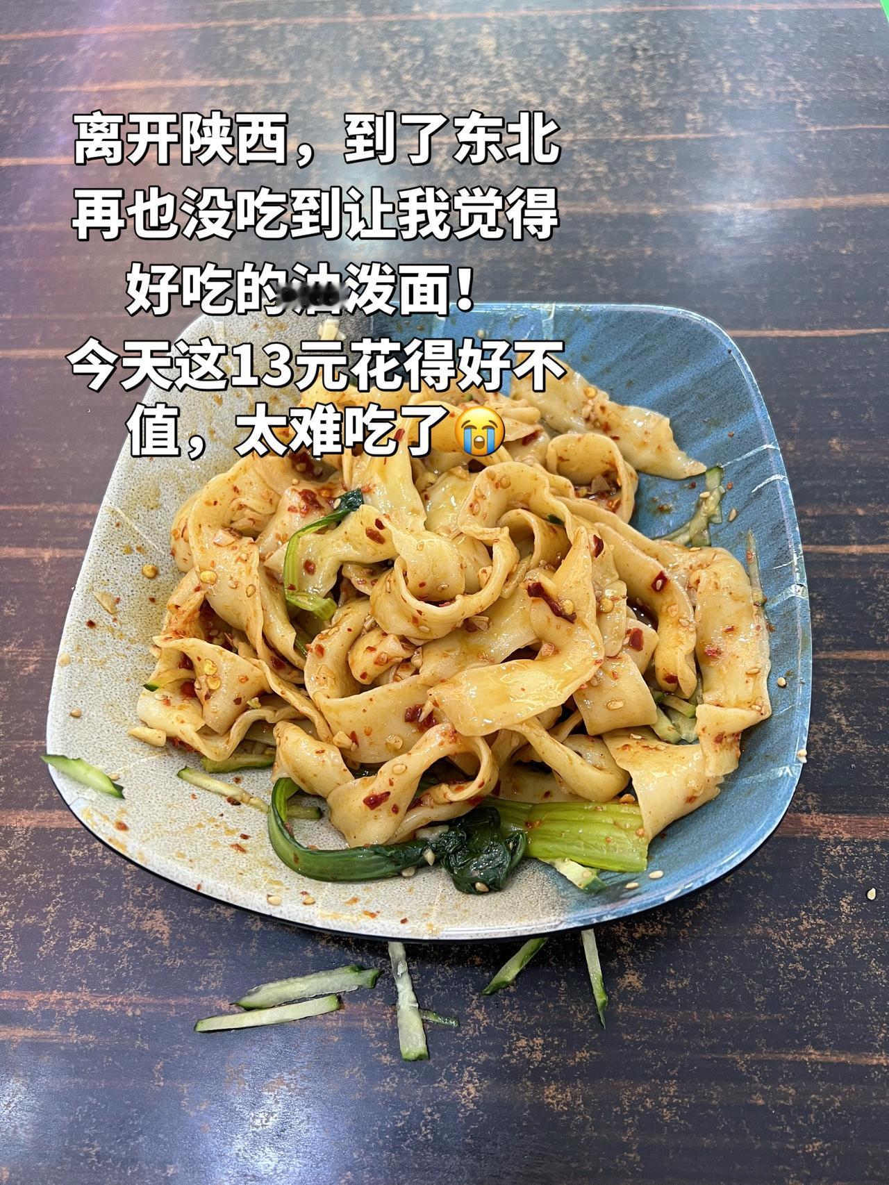 在东北，想念陕西的油泼面！想念陕西面食！今天点了一份13元的油泼面，太难吃了！面