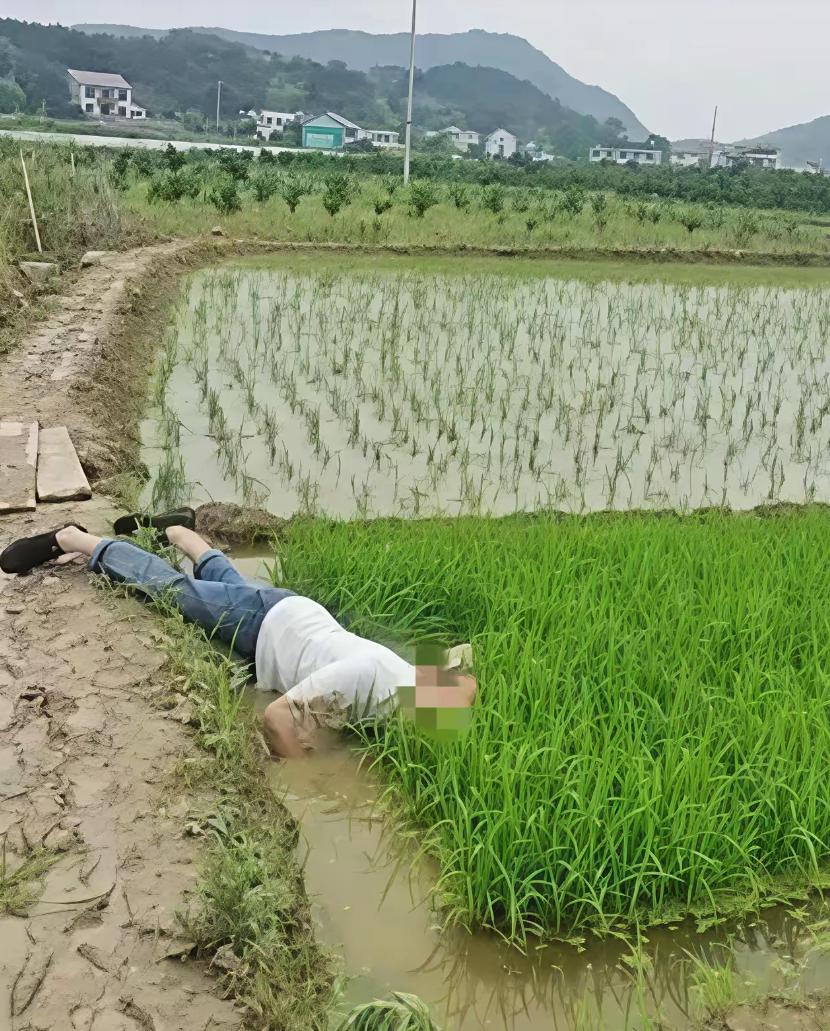 “并非谁死谁有理！”四川成都，一七旬大爷早起锻炼时，路过一片稻田，当他来到稻田边