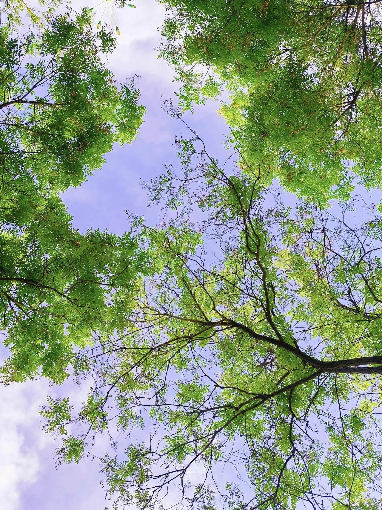 跟天蝎座分手以后，最后是不是都想回头天蝎分手太体面，
他们从来不说你不好，
他们