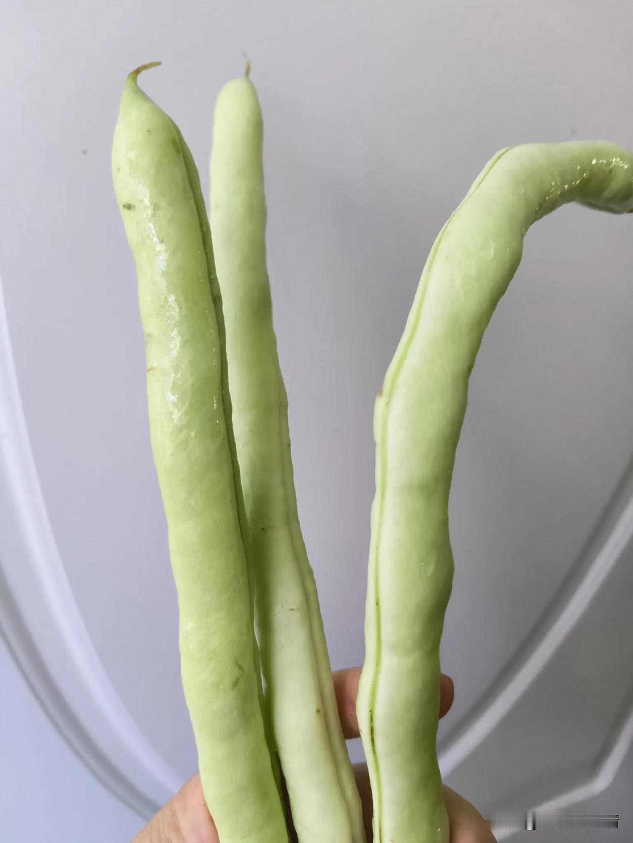 这是男人的一种逃离吗

昨天是国庆假期的第二天，天气非常好，阳光明媚，本来我打算