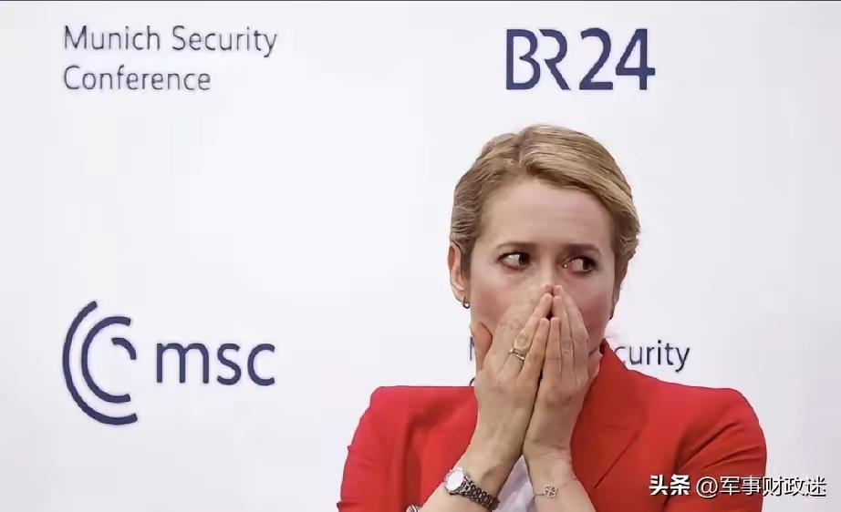 2月23日，欧盟外长卡拉斯给俄罗斯提供了一份清单：
这哪是谈停火，分明是让俄罗斯