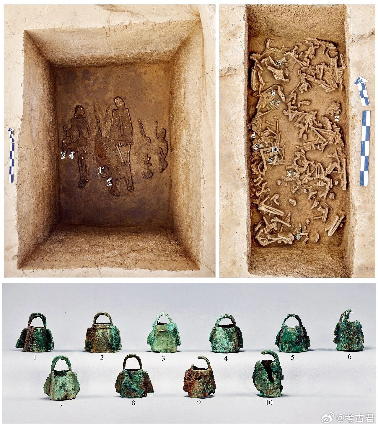 考古新发现 殷墟动物祭祀坑 在安阳殷墟王陵区新发现的祭祀坑中，动物考古学者辨认出