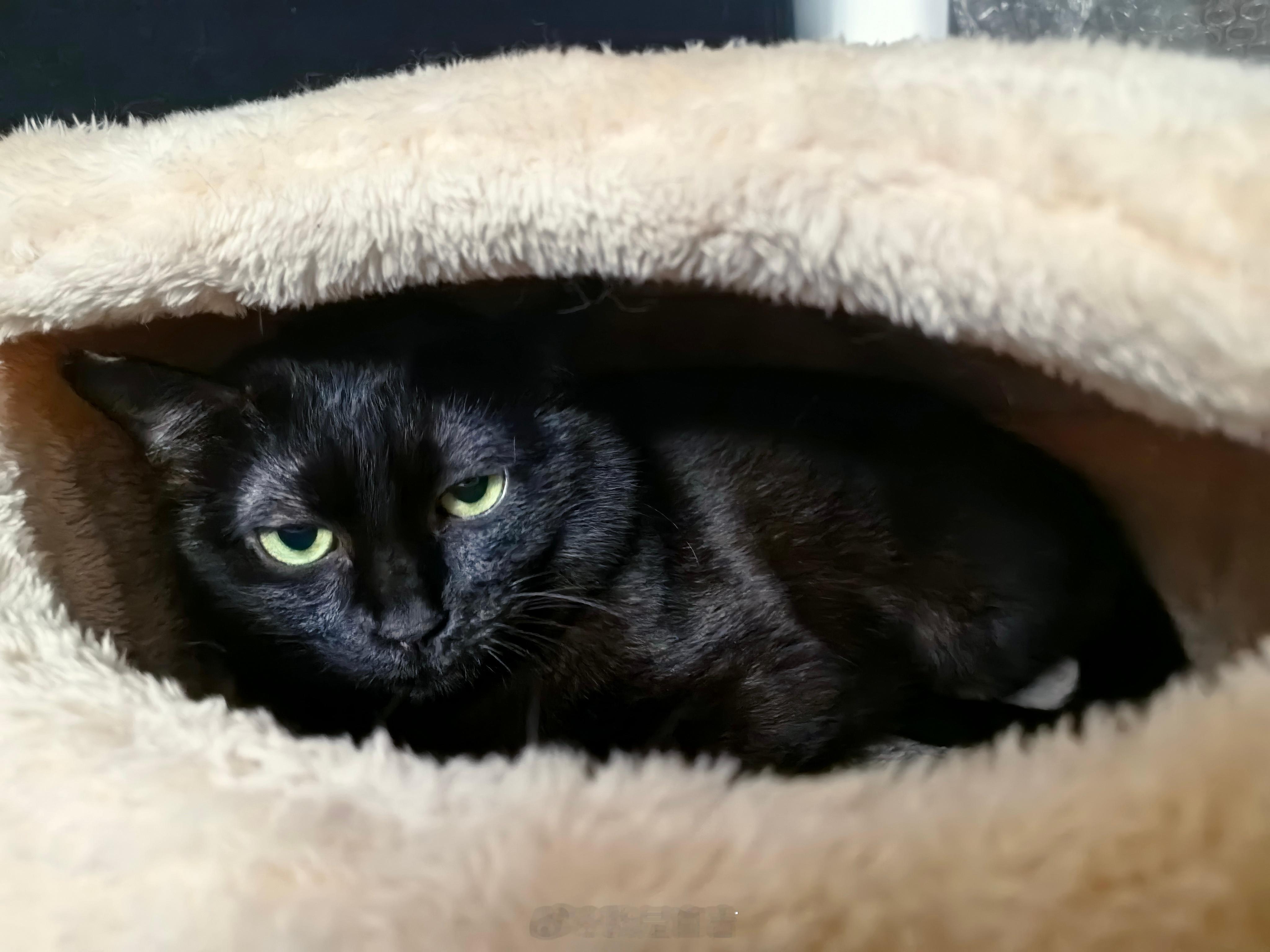 厭世一姐～#蝦蝦不可以太可愛# ​​​