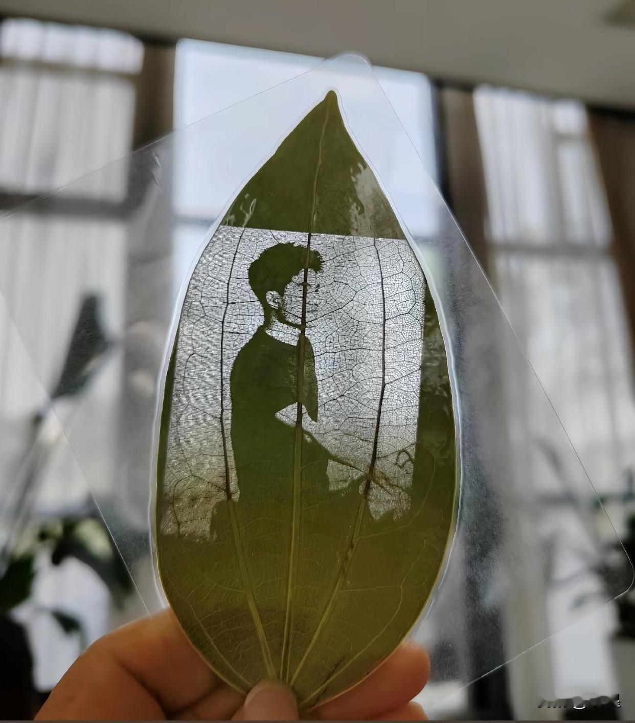 董宇辉的粉丝真是人才济济
在树叶上作的画简直惟妙惟肖
尤其是第三张萌版小方脸
可