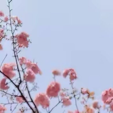 这清冷时节，是风失信约，还是雨忘归期？这浮沉人世，是天意难测，还是缘分太浅？残稿