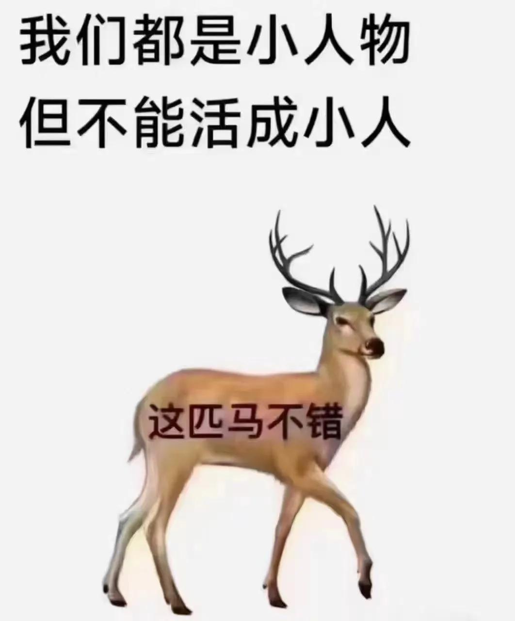 小人物也不能活成小人……