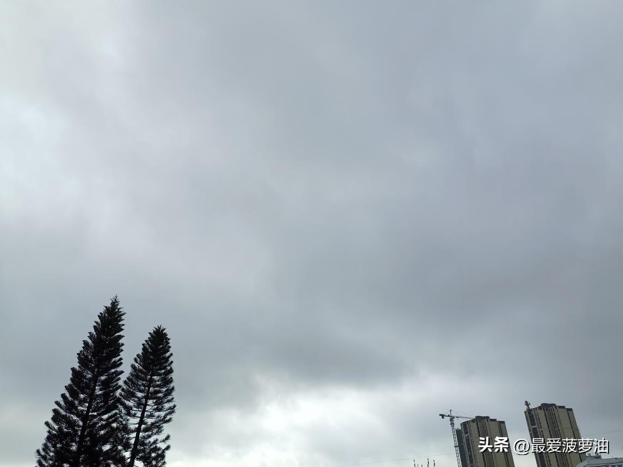 雨水倒计时！29日起广东降水减弱高温趋于明显！

今天（29日）白天，广东南部沿