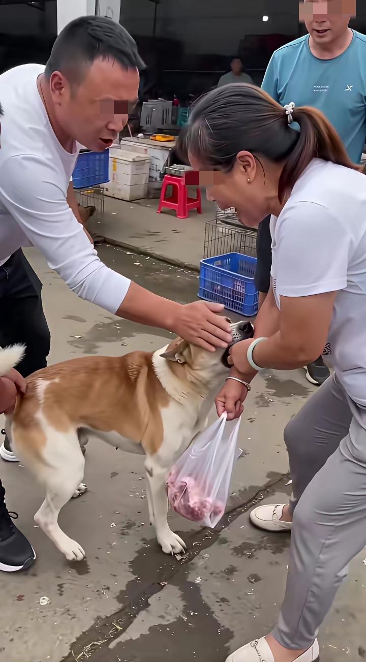 这位大姐在市场买肉，不慎被一只未牵绳的恶犬咬了。恶犬咬住大姐的手腕不松口，大姐疼