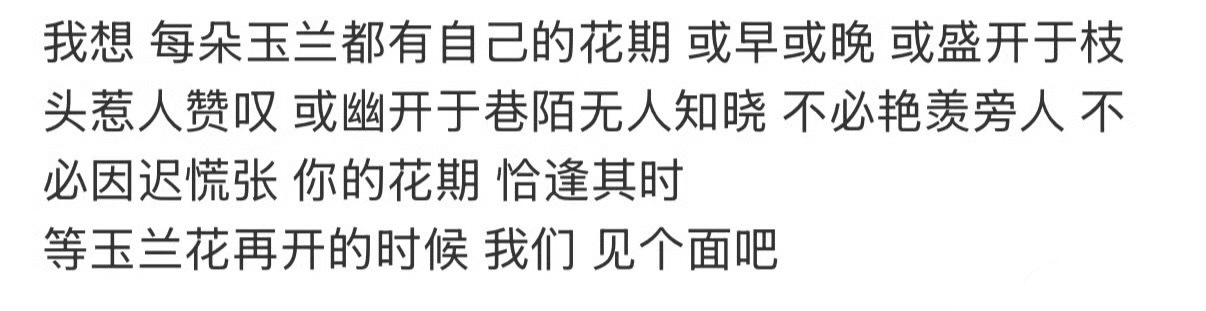 白菊遇上白玉兰，你的花期，恰逢其时！杨紫白玉兰视后白玉兰获奖名单