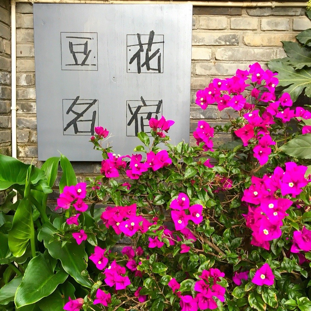 【丽江古城客栈招聘】我们一直是一个好学习好拼搏的团队，来丽江13年，走遍云南各地
