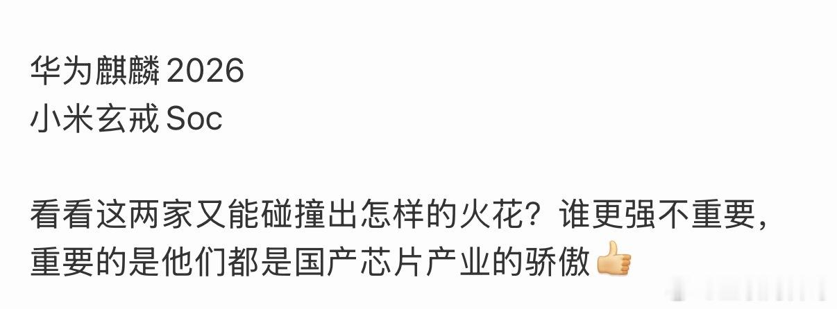 麒麟2026和小米玄戒O3都是国产的骄傲！ 
