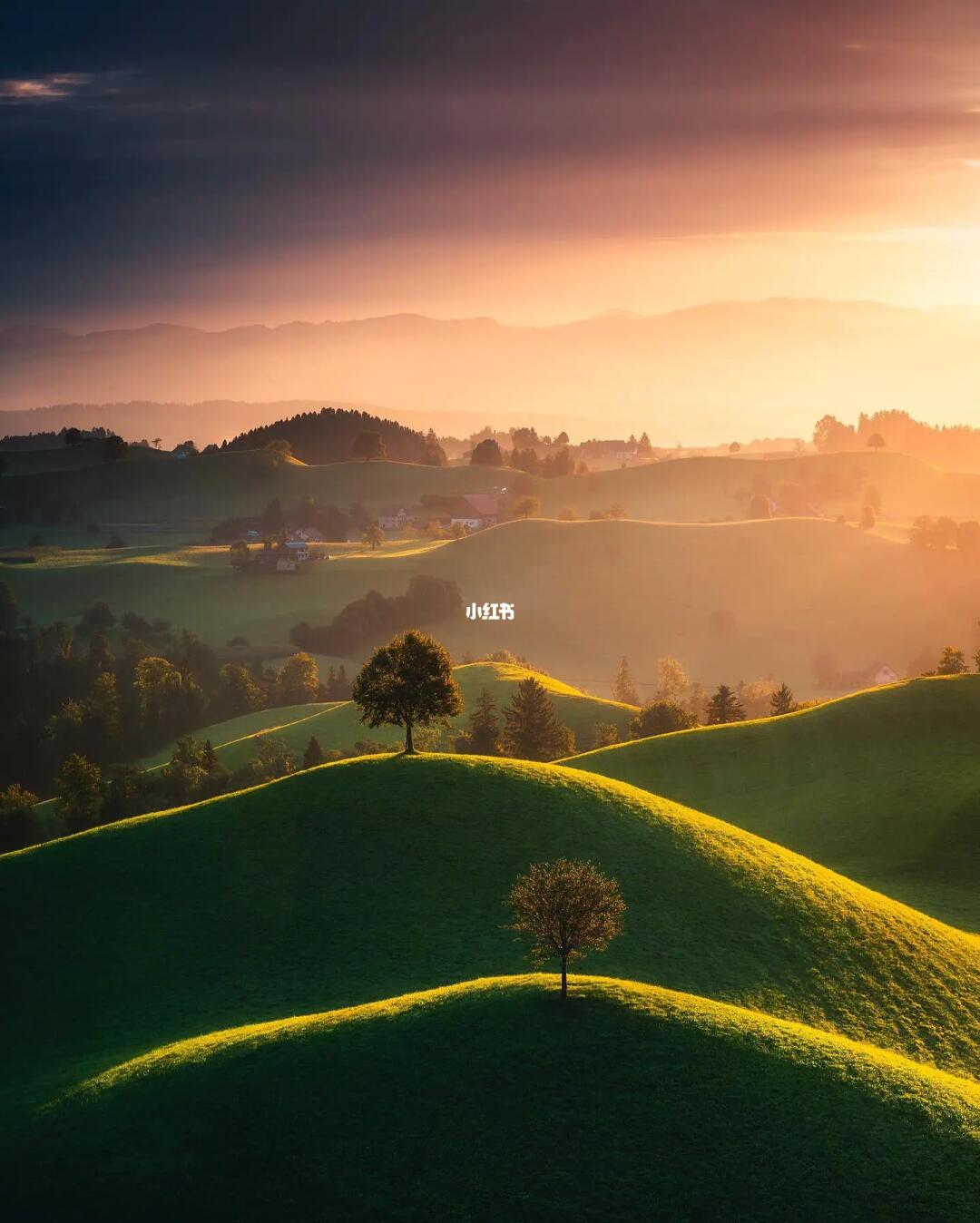 审美提升|每天认识一位摄影大师210