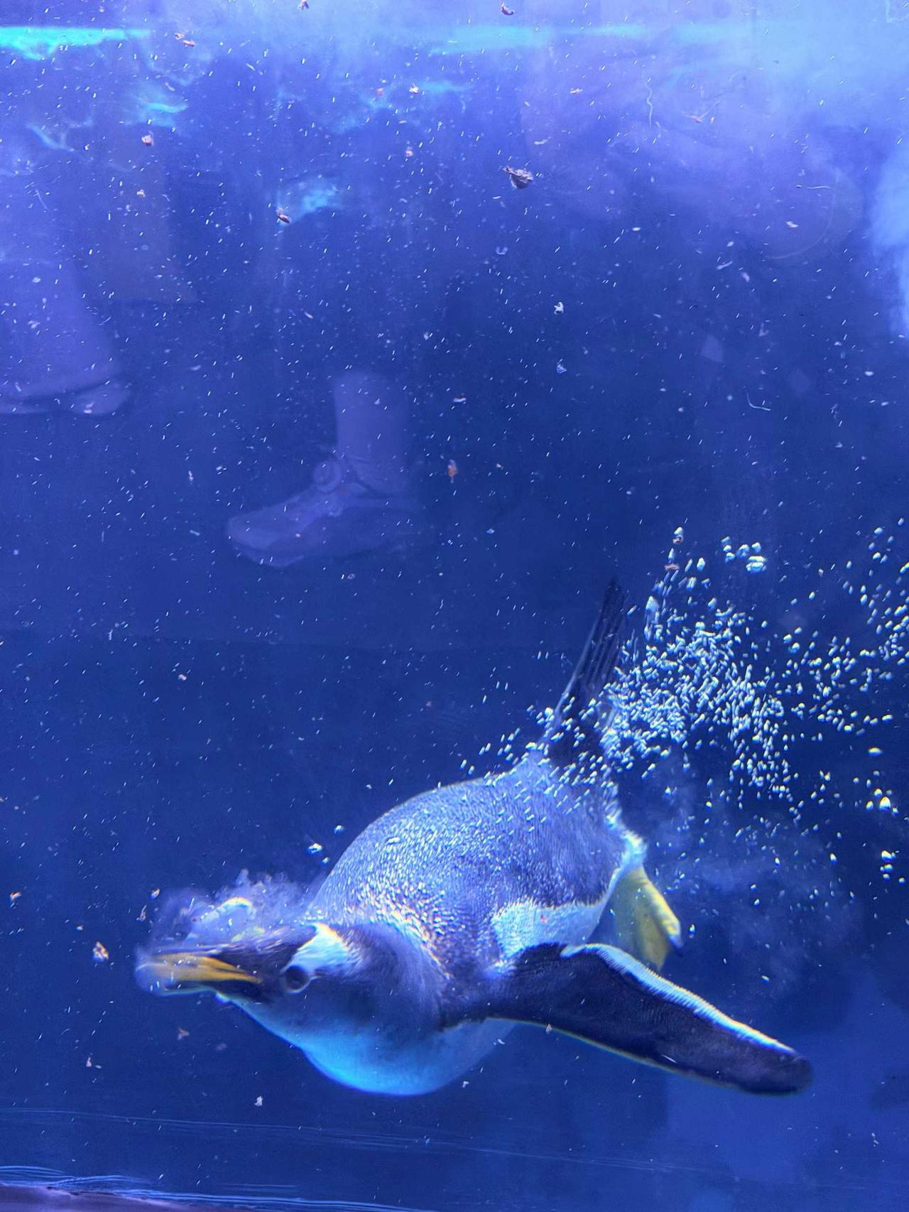 醍醐灌顶的一句话：人这辈子，不能活在别人的眼光里。

一个人成熟的标志，就是不再