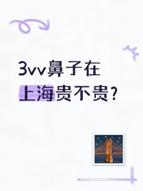 3vv在上海可以动一个靠谱的鼻子吗？