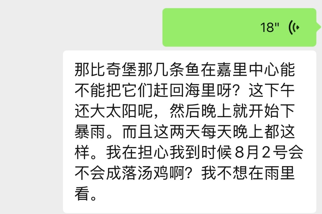 我不想配其实雨也没多大的bgm晴天娃娃求发力 