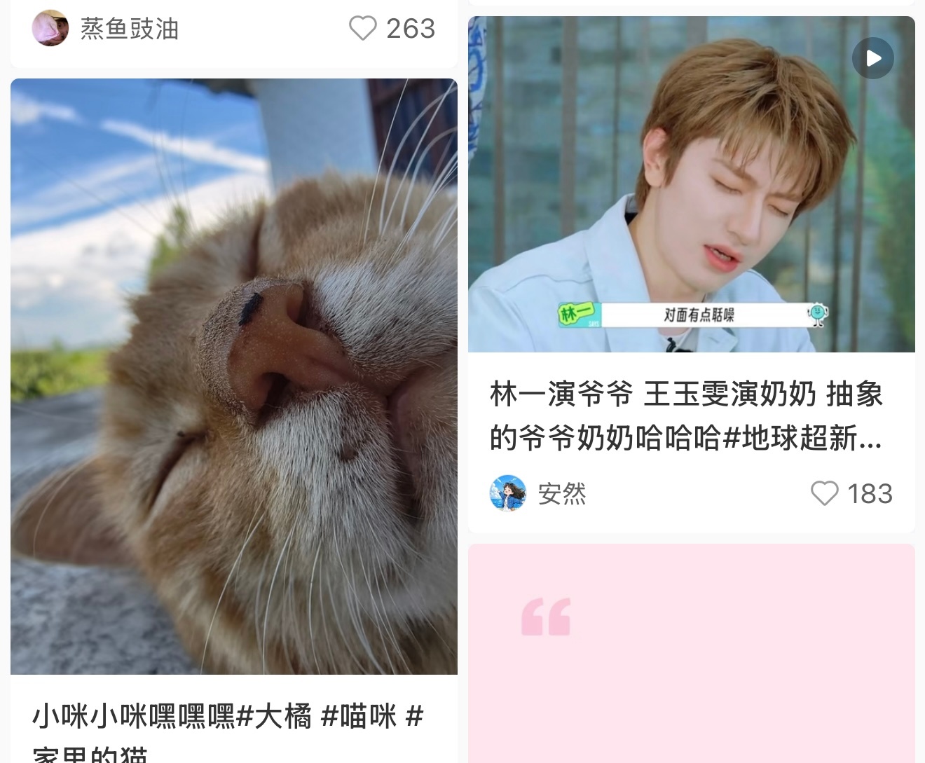 我的小🍠很会排版 