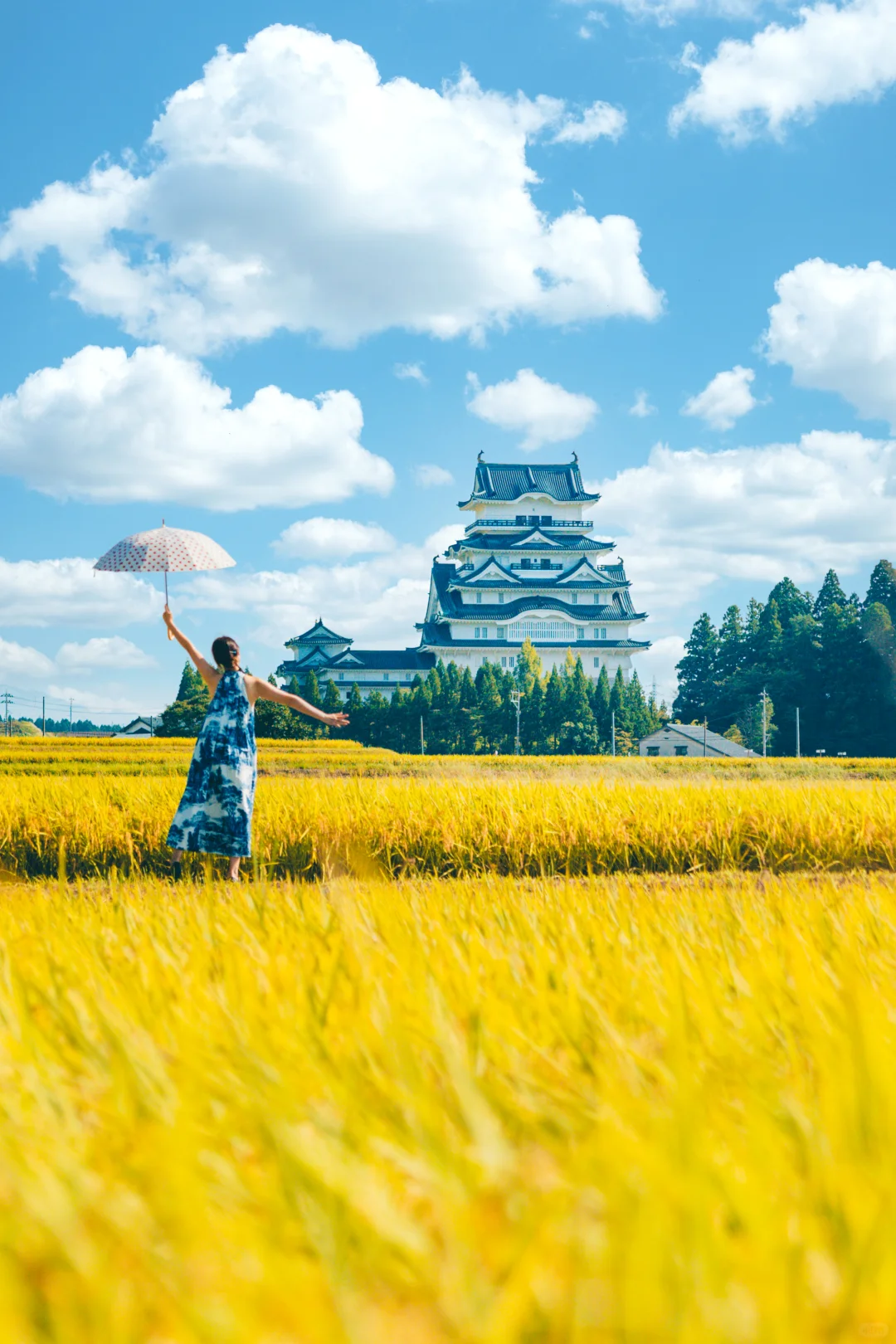 我在日本乡下拍📷到了宫崎骏动漫同款场景！