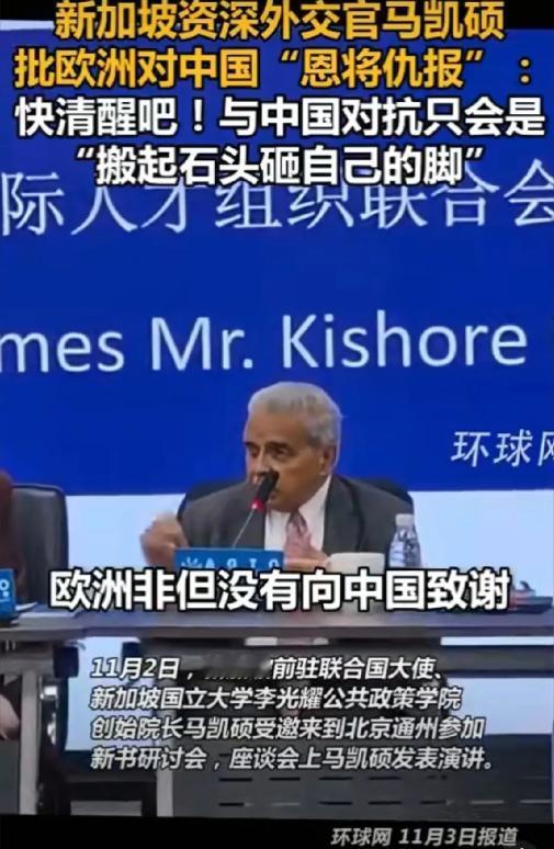 马凯硕在北京通州发表演讲时称：欧洲非但没有向中国致谢，反而对中国大加指责，这无异