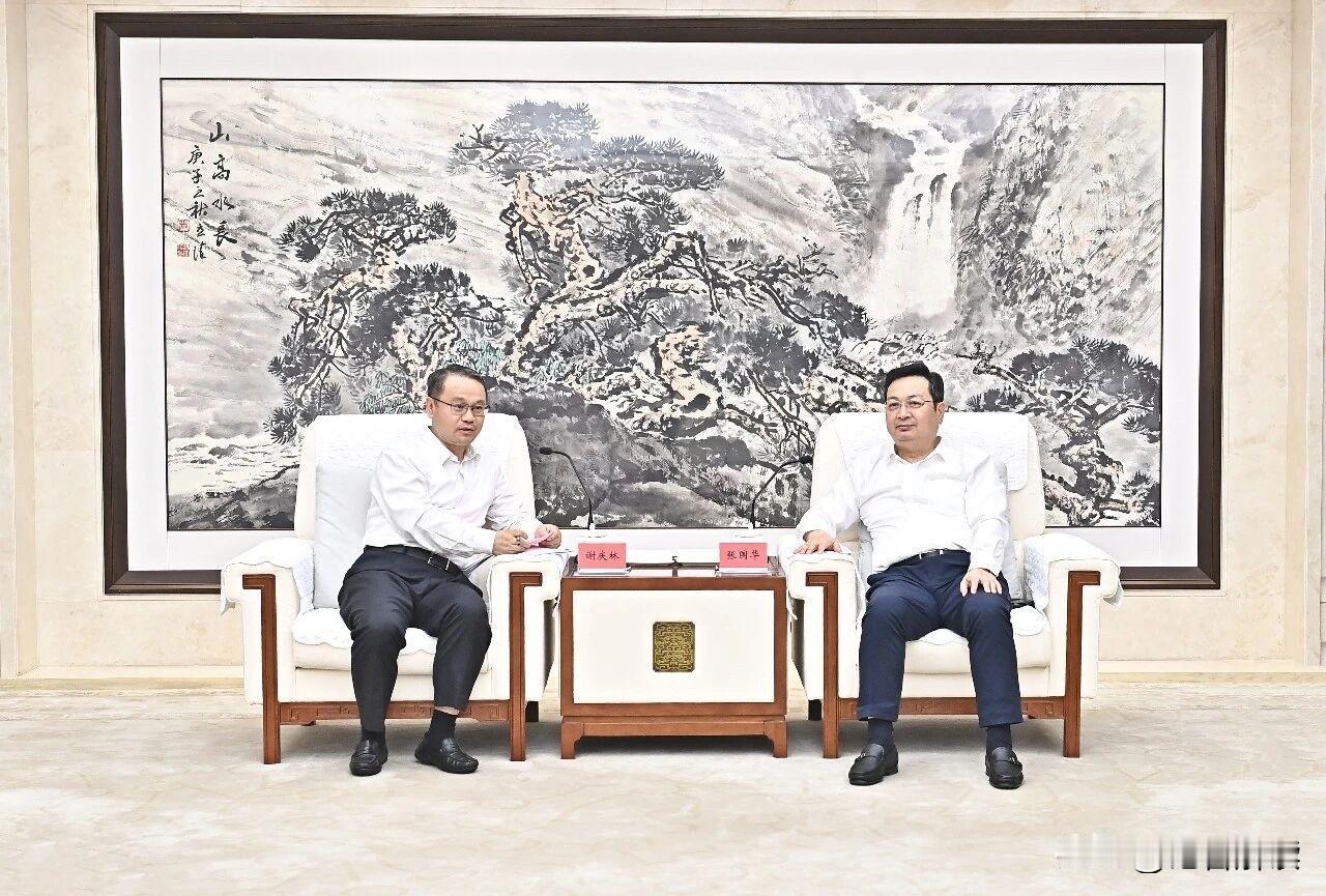 66月17号，央企中国电子副总经理谢庆林带队走进雄安新区，和雄安新区党工委书记张