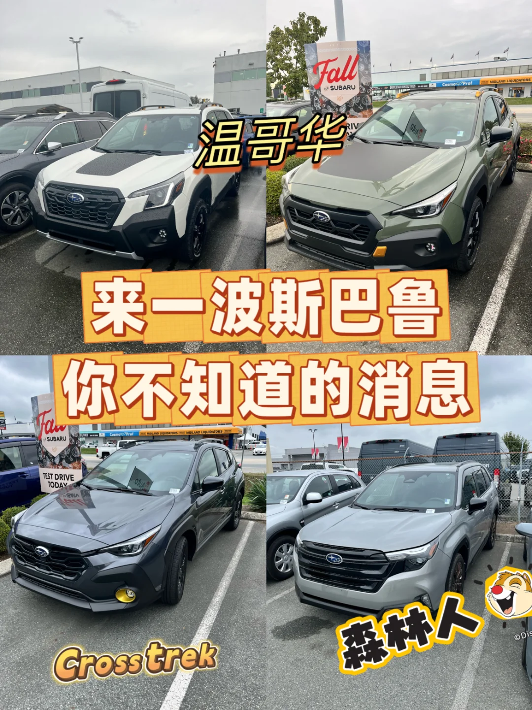 莫惊慌 悄悄告诉你些斯巴鲁的新消息