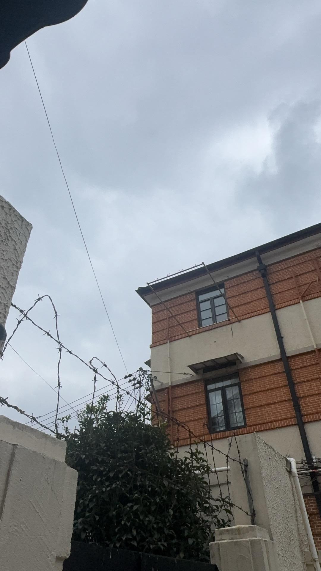 坏脾气是种隐疾，伤口长在你看不见的地方

婚后第六年，我发现右乳有个硬块。医生看