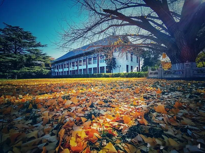 看到“片片绿叶送和风”这个下联，一下子就来了兴致。有个挺不错的上联“点点红英映碧