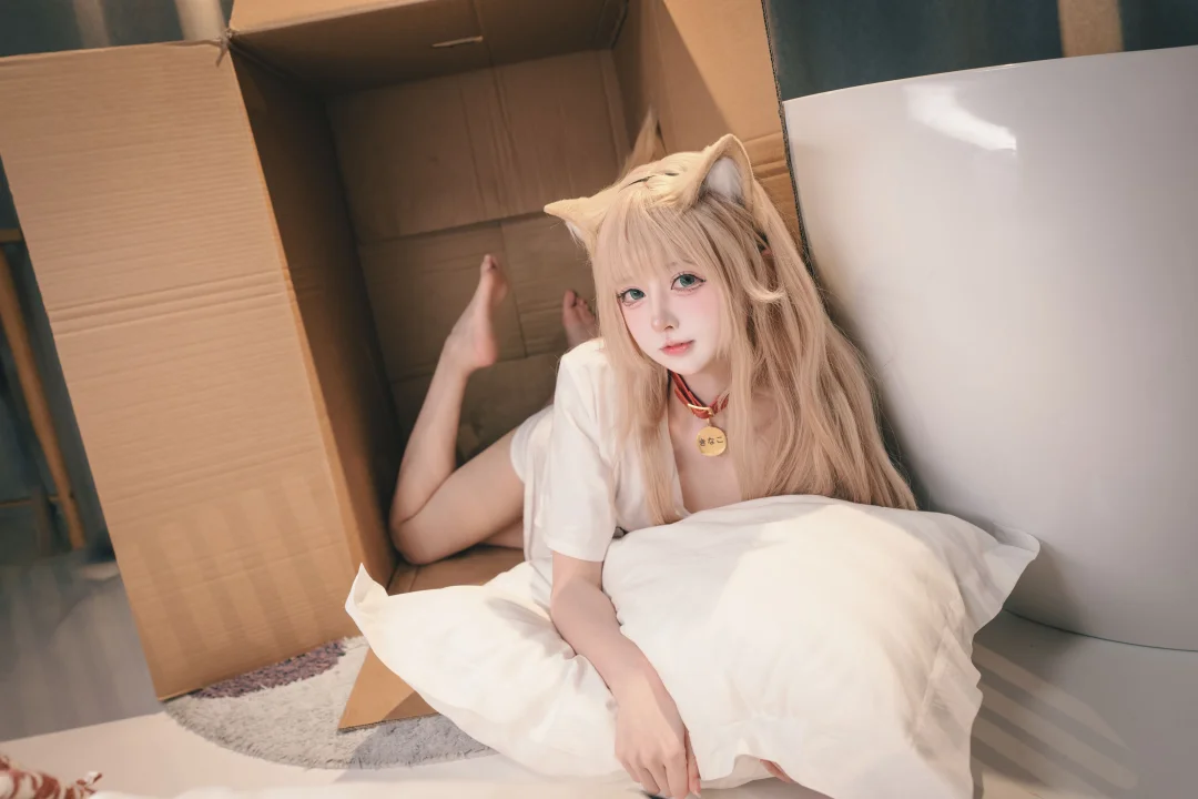 快给猫吃小鱼干！