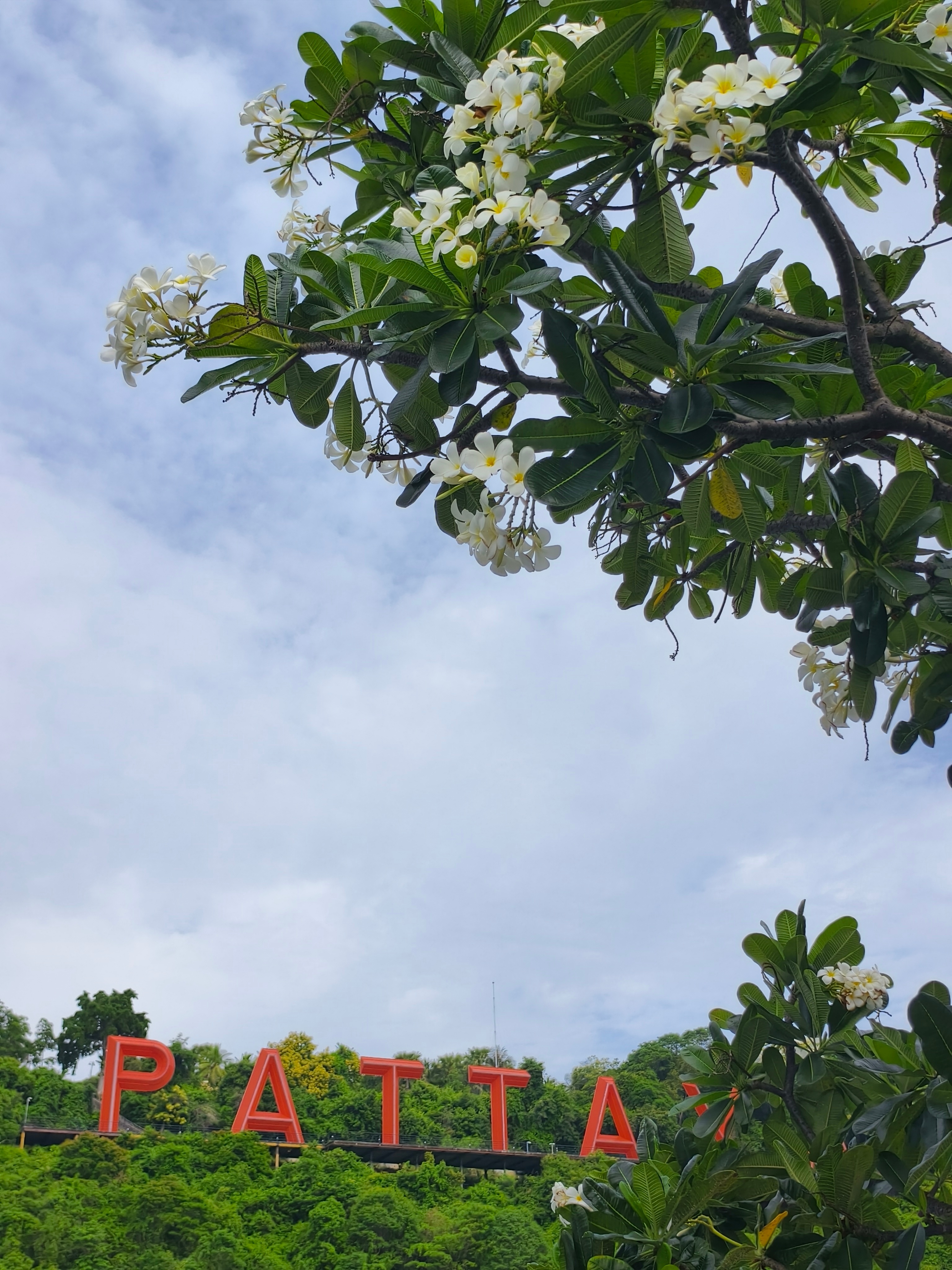 7月11日，早饭后乘快艇去金沙岛，快艇如怒马，白浪滚滚。下船，沙白且细，抬脚处腾