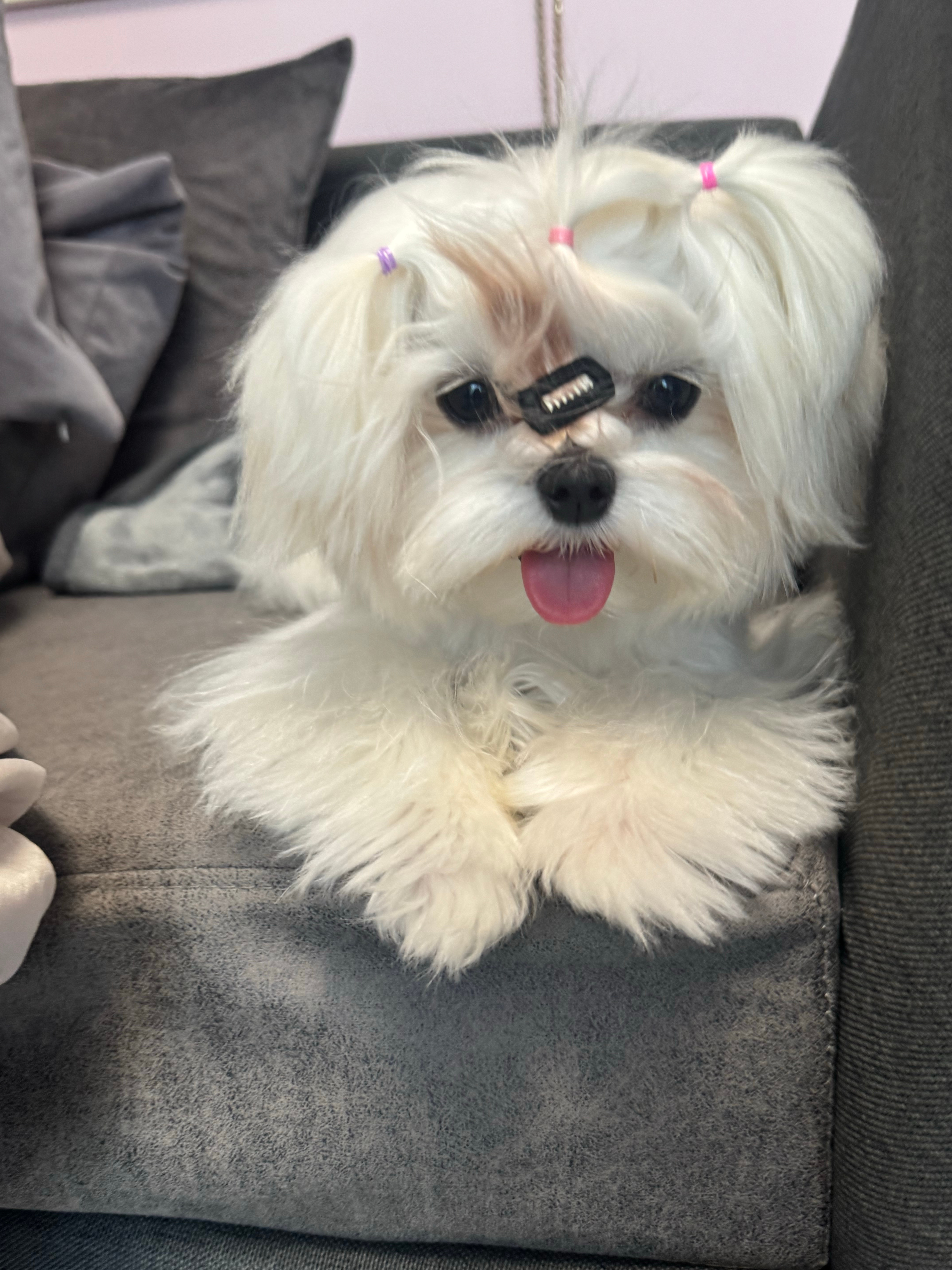 木哥变成甜妹了噻 ​​​