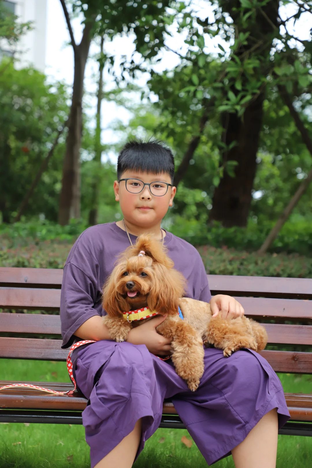 毛孩子可以治愈各种不快乐