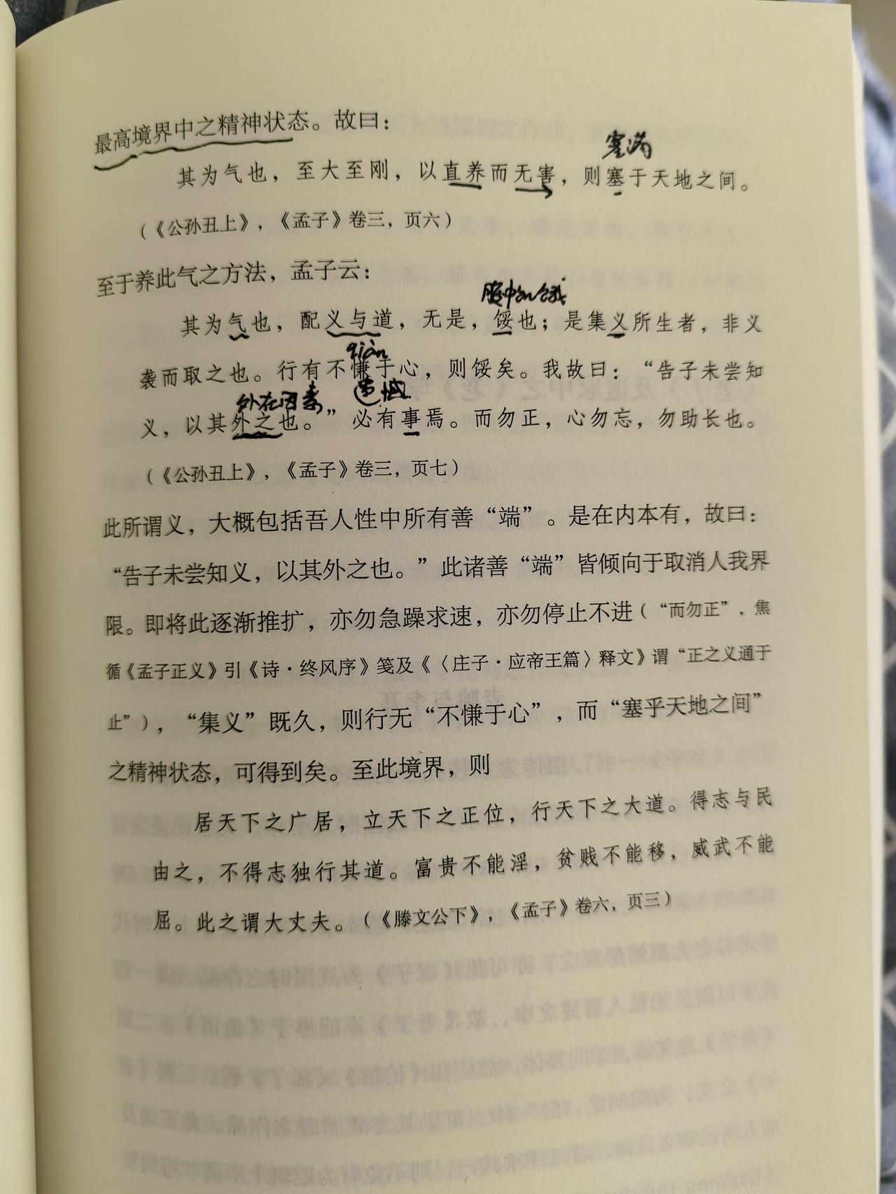 何为大丈夫
居天下之广居，立天下之正位，行天下之大道。得志与民由之，不得志独行其