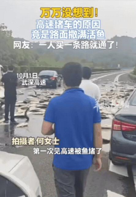 “高速堵车原因找到了！”湖南，女子上高速前，看导航是绿波，没想到，她才刚上高速就