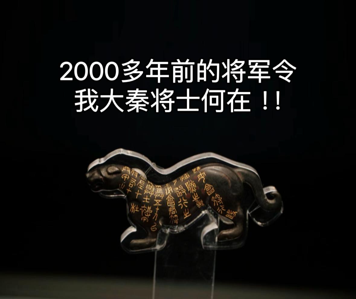 偷了虎符，真的可以调动百万大军吗 。