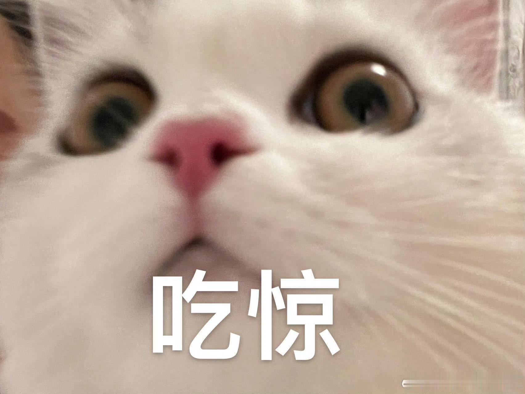 魔都冰爽派对夯爆了谁还没打卡魔都这场爆款冰爽派对，水雾造景氛围感十足，各类冰甜品