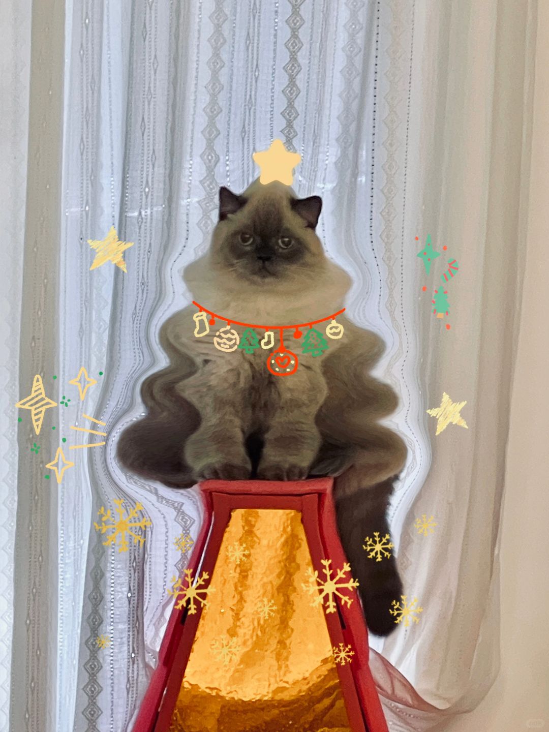 没圣诞树没关系，我会P