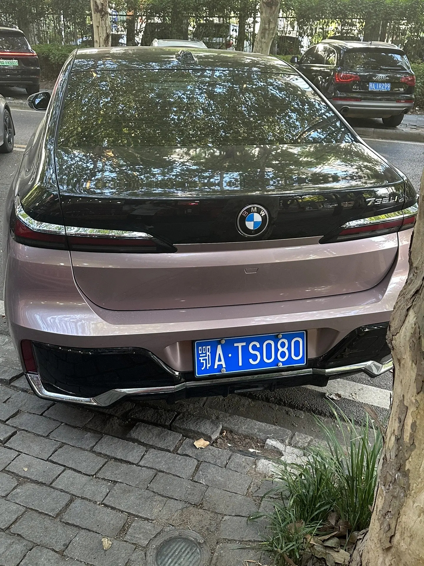 BMW 735L! 这个颜色的7系你喜欢吗？